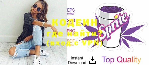шишки Снежногорск