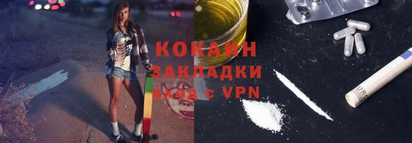 шишки Снежногорск