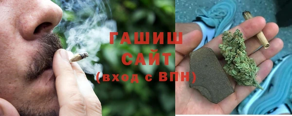 шишки Снежногорск