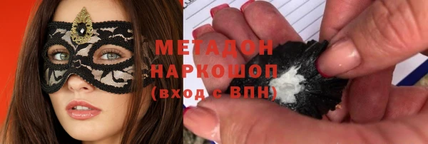 шишки Снежногорск