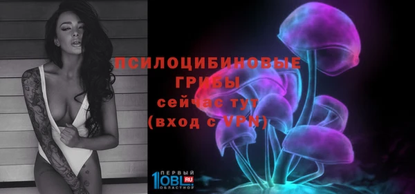 стафф Снежинск