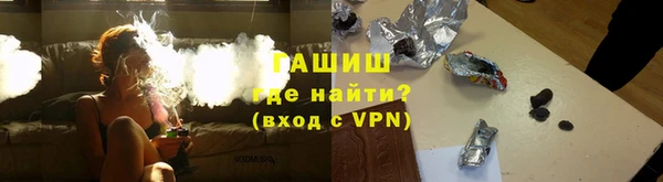шишки Снежногорск