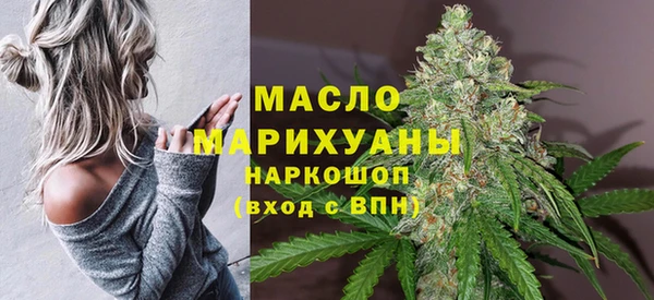 шишки Снежногорск