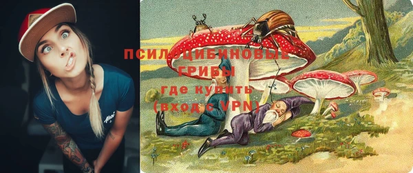 стафф Снежинск