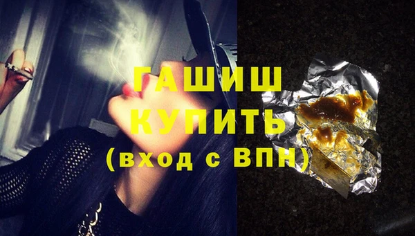 шишки Снежногорск
