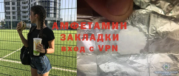 шишки Снежногорск