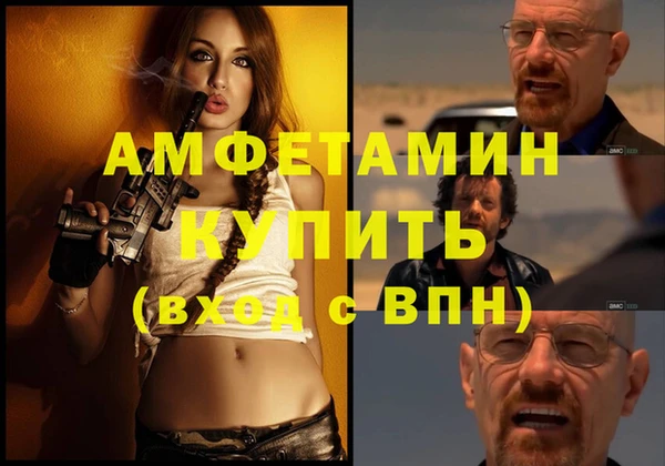 шишки Снежногорск