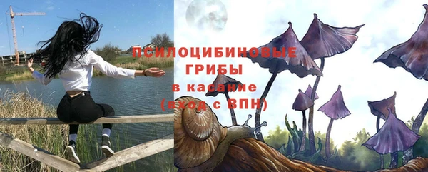 шишки Снежногорск