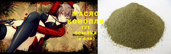шишки Снежногорск